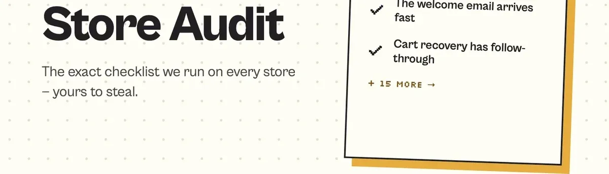 The 20-point audit checklist